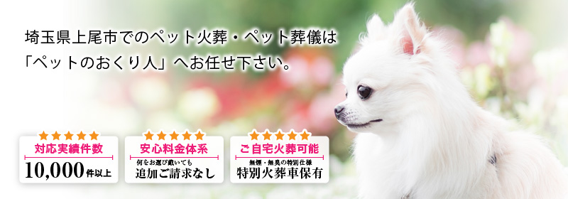 埼玉県上尾市でのペット火葬・ペット葬儀は「ペットのおくり人」へお任せ下さい。