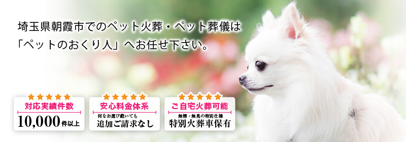 埼玉県朝霞市でのペット火葬・ペット葬儀は「ペットのおくり人」へお任せ下さい。