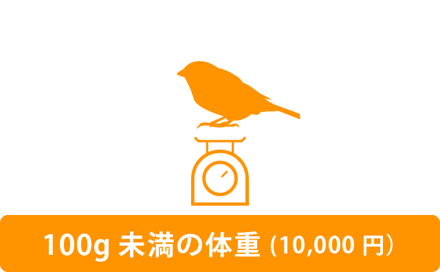 100g未満の体重1,0000円